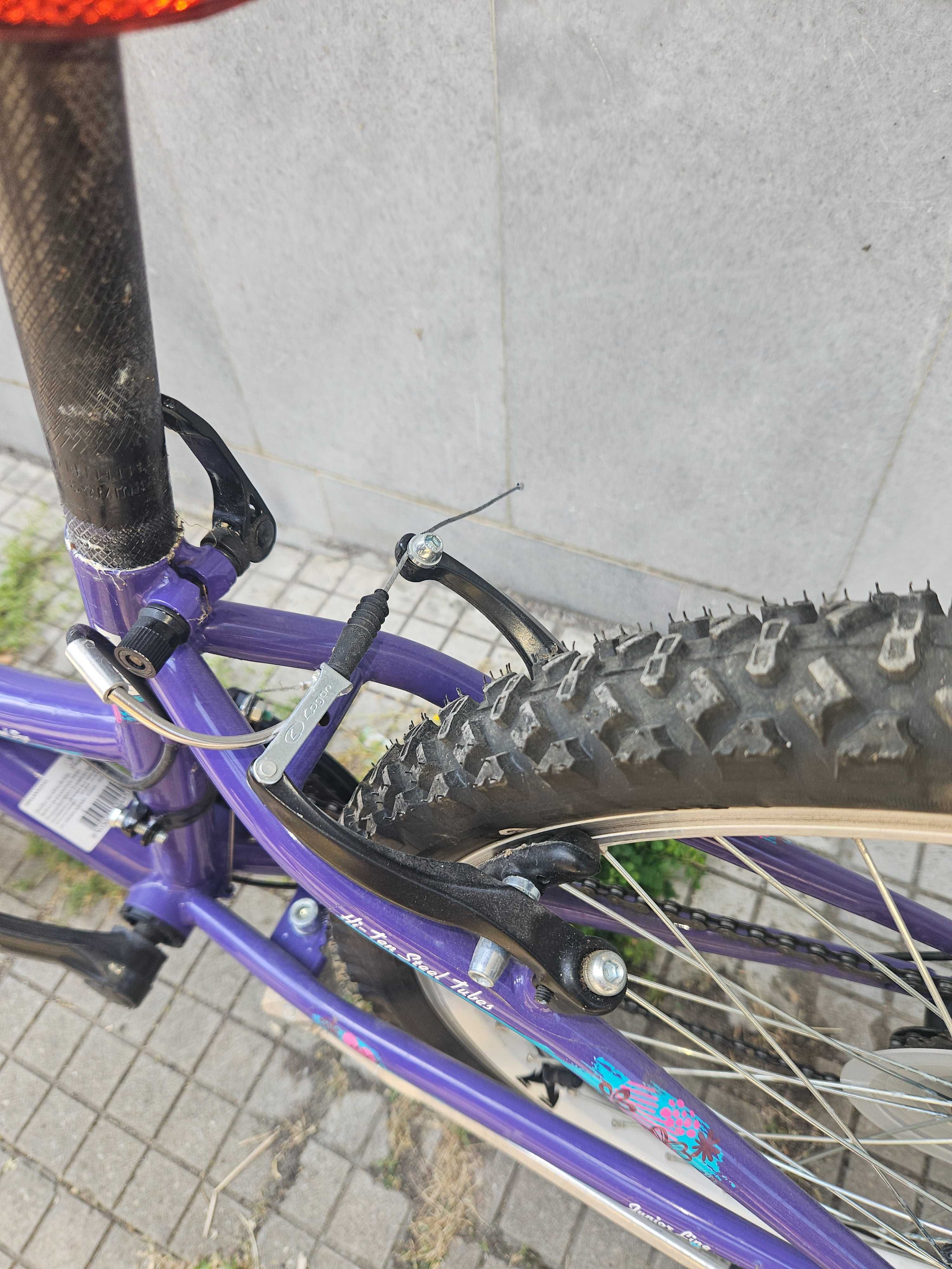 Kолело Cross Alissa 24 "