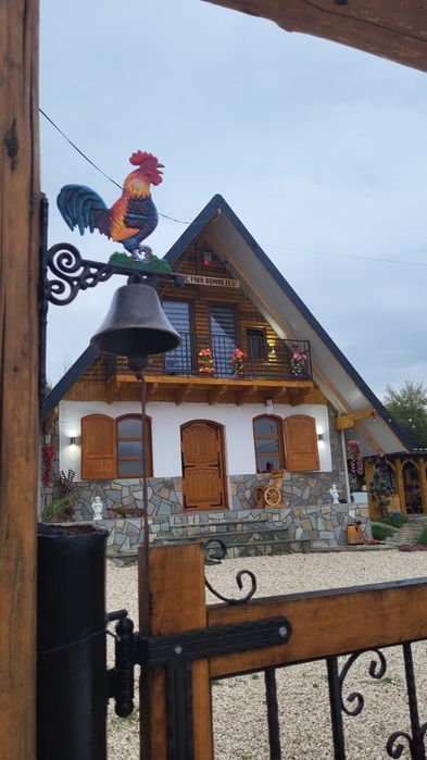 Cabane de inchiriat
