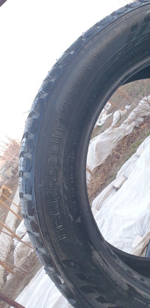 Зимние шины Nokian Tyers Hakkapeliita 235/55 r19