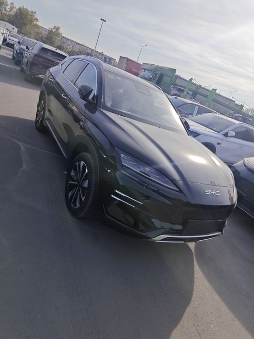 Byd Champion Smart Ayselda