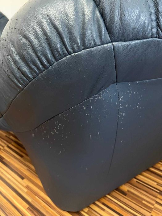 Set canapele + fotoliu piele naturala