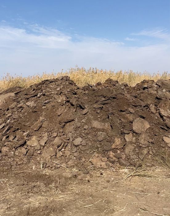 Малдың шіріп тұрған навоз бар (гөң) !!!