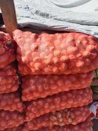 Картошка Когалы крупные картошка цена 150 в одном мешке 38 39 кг