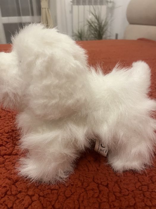 Интерактивно коте и куче