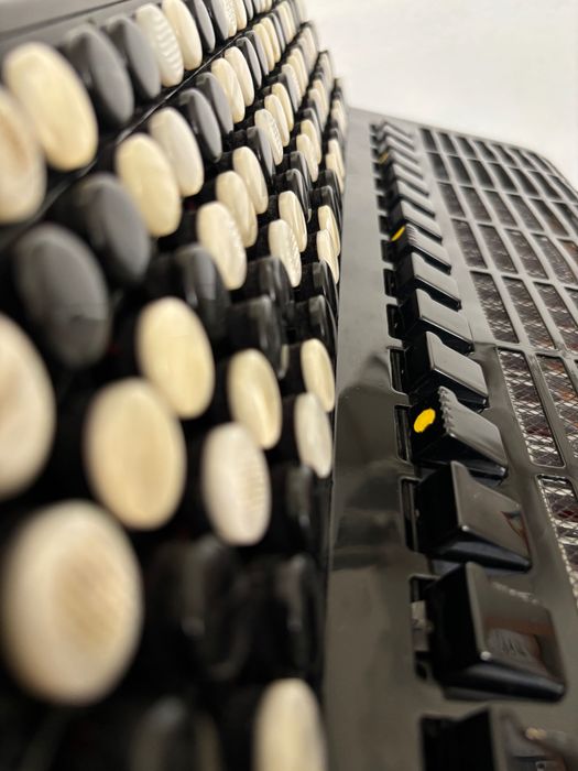 Pigini Button Accordion - BAYAN 58/B DE LUXE (“C” griff in both hands)