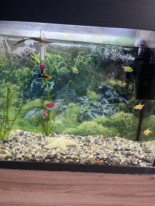 Продам фильтр камни лампа все доя аквариума