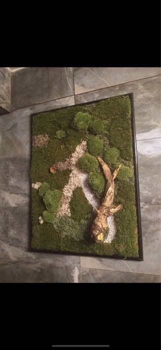 Tablou licheni si muschi naturali