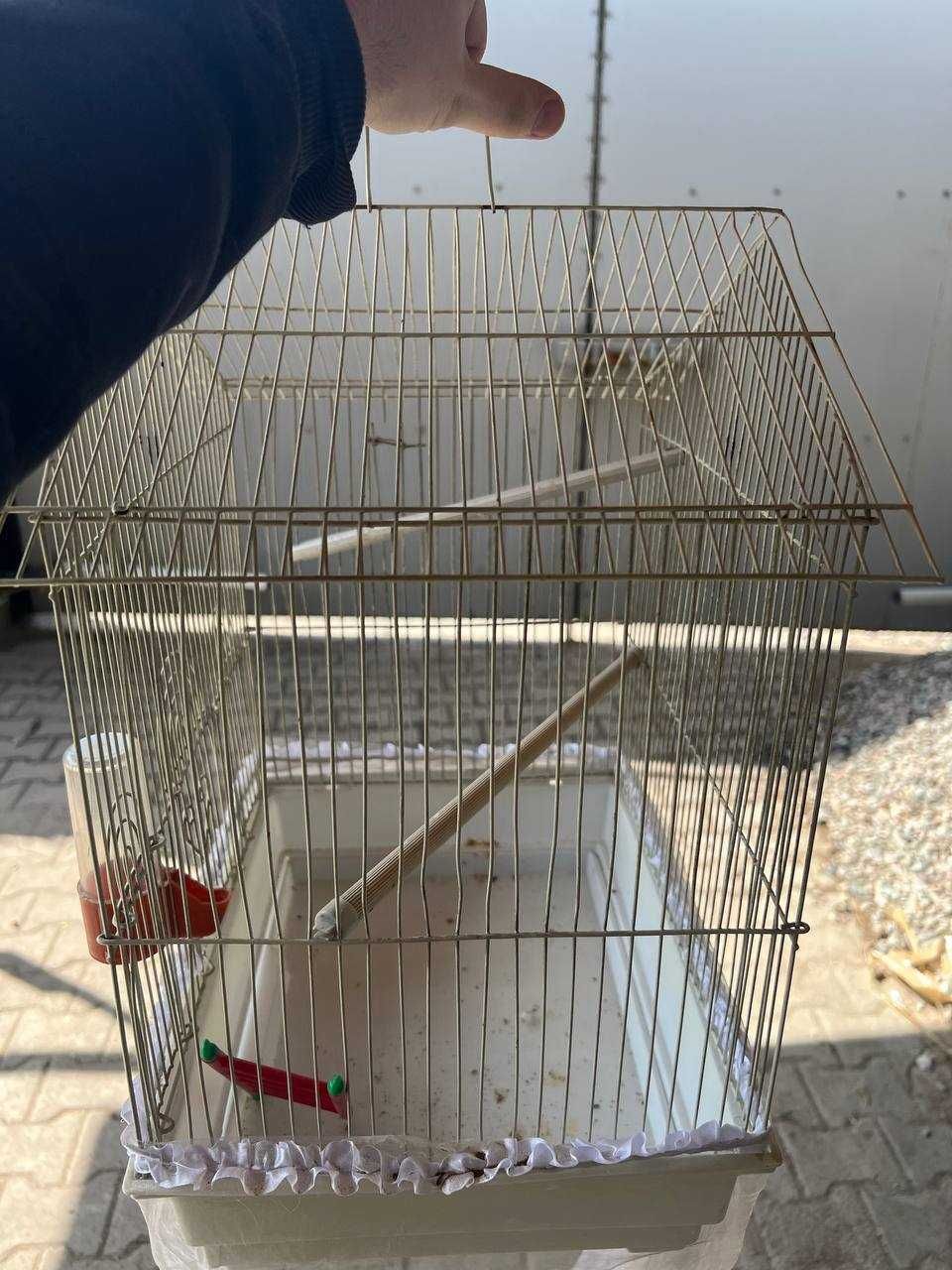 Клетка для попугаев
