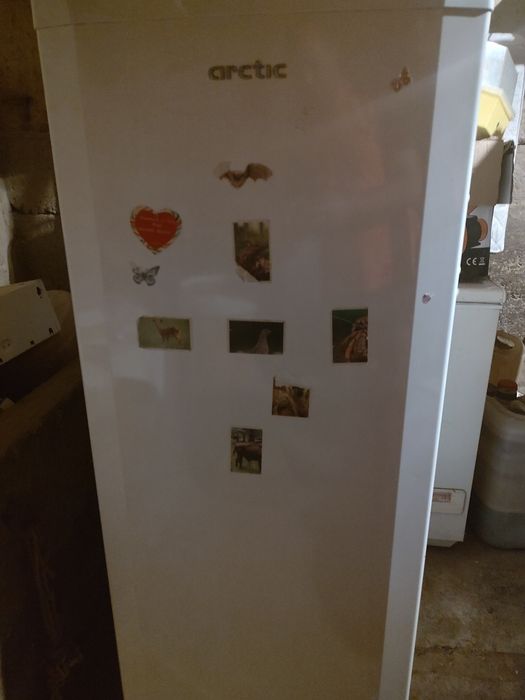 Vand congelator artic