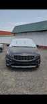 Kia Carnival  2019 benzin