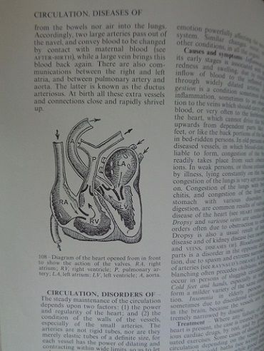 Black's medical dictionary