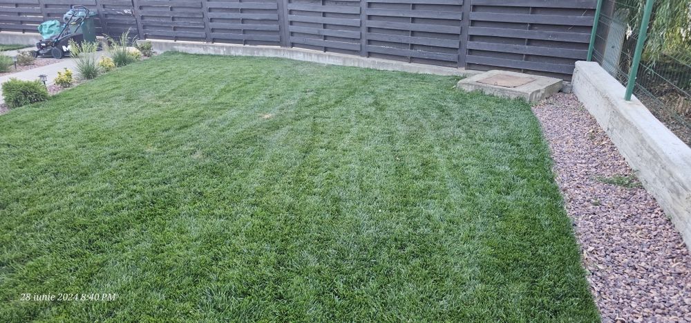 Gazon, Automatizare Sisteme de irigat, Scarificare, Mentenanță