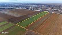 Comision 0% cumpărător | Teren extravilan | 14,600mp | Tărlungeni