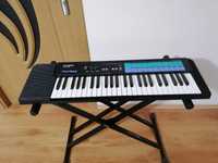 CASIO CA-100 pian digital polifonic orga electronică
