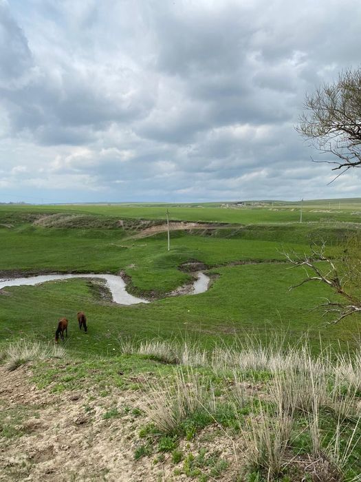 Крестьянское (фермерское) хозяйство