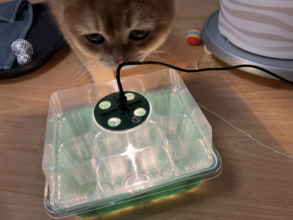 Мини парник с фитолампой для рассады