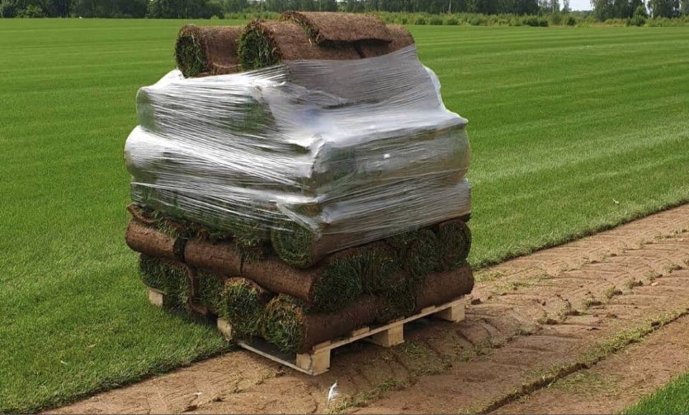 Рулонный газон , Павлодар , Экибастуз , Астана