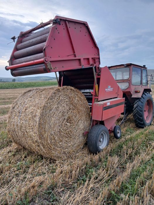 Balotiera rotunda RP15