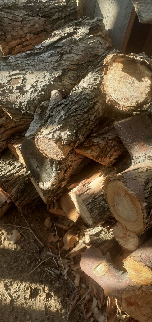 Продам дрова фруктовых деревьев
