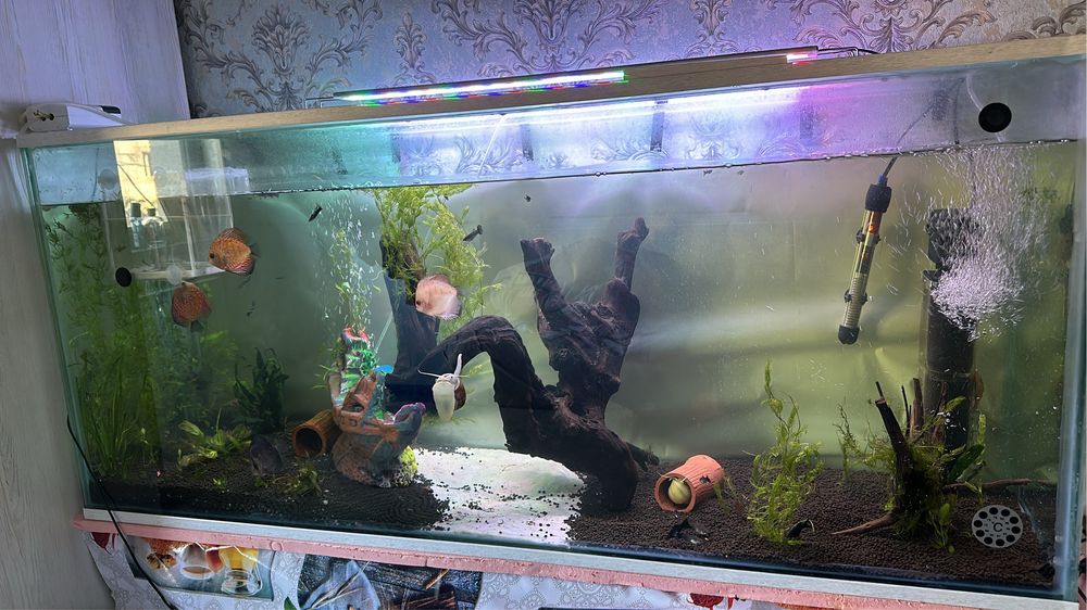 готовый аквариум