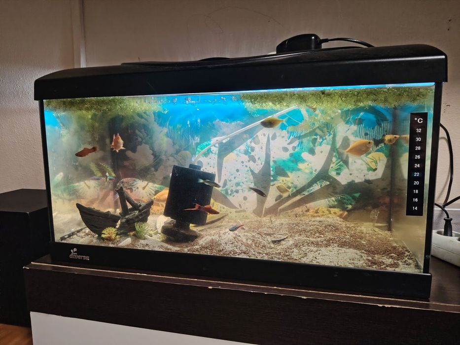 Vând acvariu divessa 54 litri
