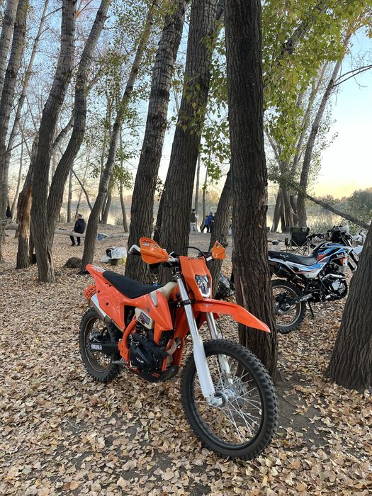 Эндуро улар H8 300