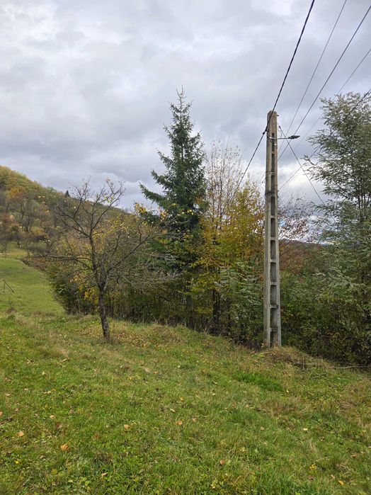 Vand teren livada viseu de jos