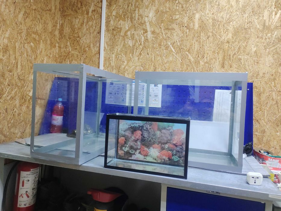 Аквариум для рыб