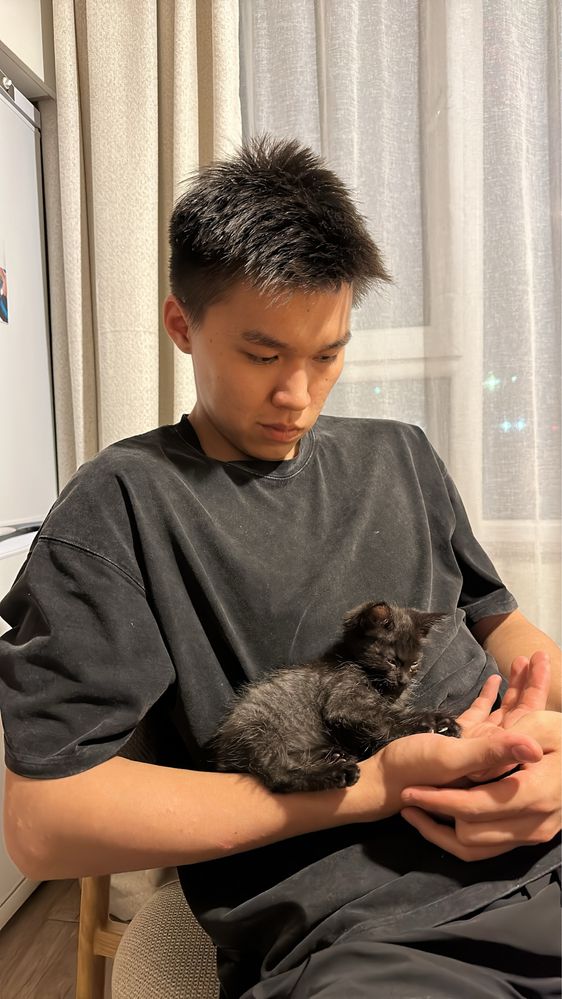 Котенок мальчик