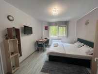Palace Studio Sinaia - Regim Hotelier