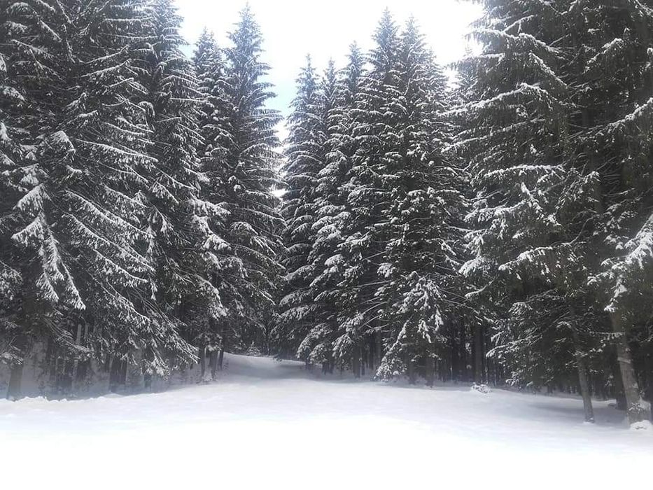 Cabană libera de revelion (3 Zile 3 Nopti)