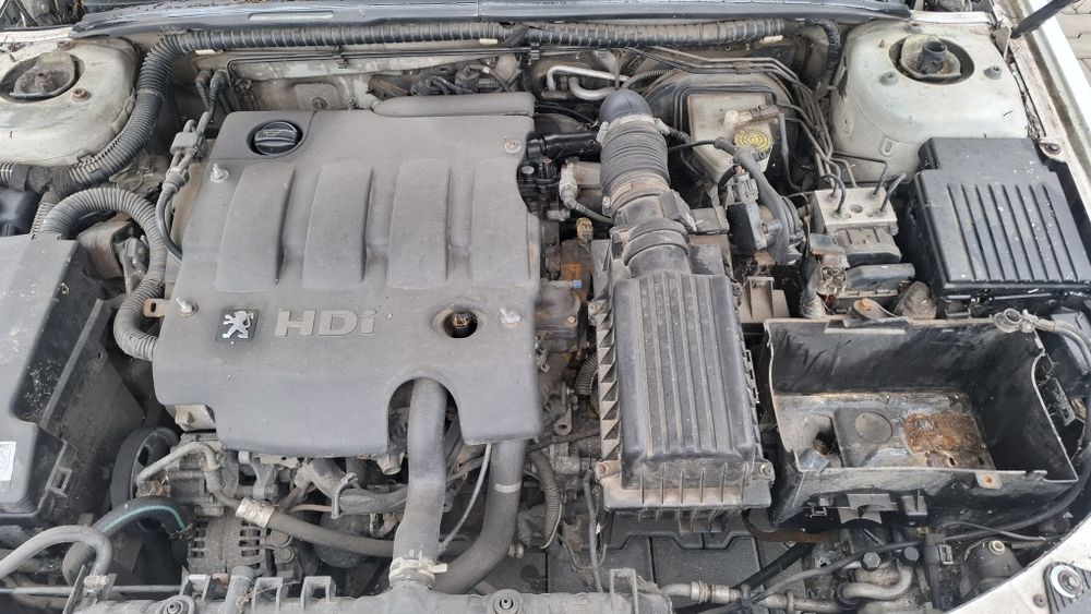 Vand bara fata,capota Peugeot 406