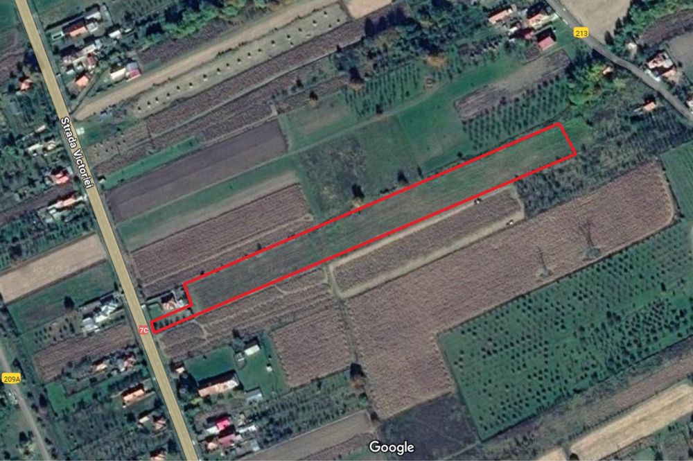 Teren INTRAVILAN 10000 mp Baiculesti DN7C/A1 Curtea de Argeș
