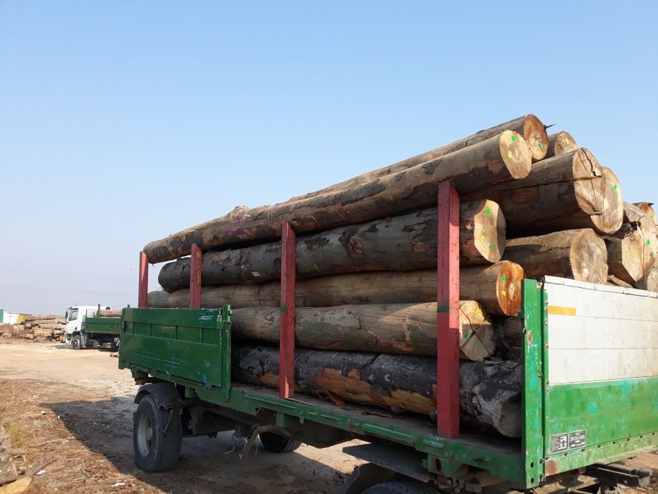 Vînd lemn de foc de calitate