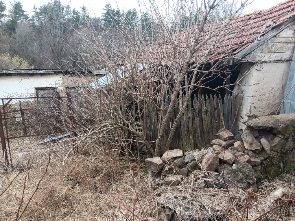 Къща с двор с.Пожарево