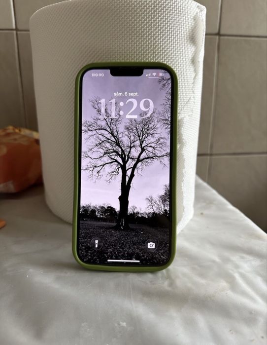 Iphone 13 pro max 10/10