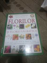 Enciclopedia ilustrata a florilor si florei salbatice