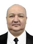 Гид-переводчик японского языка