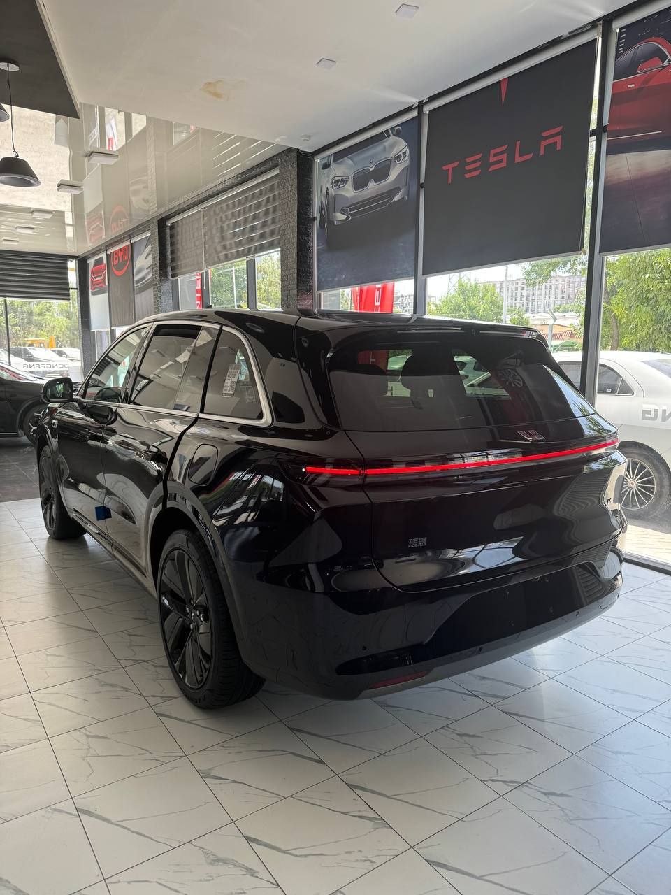 Lixiang Li 6 max