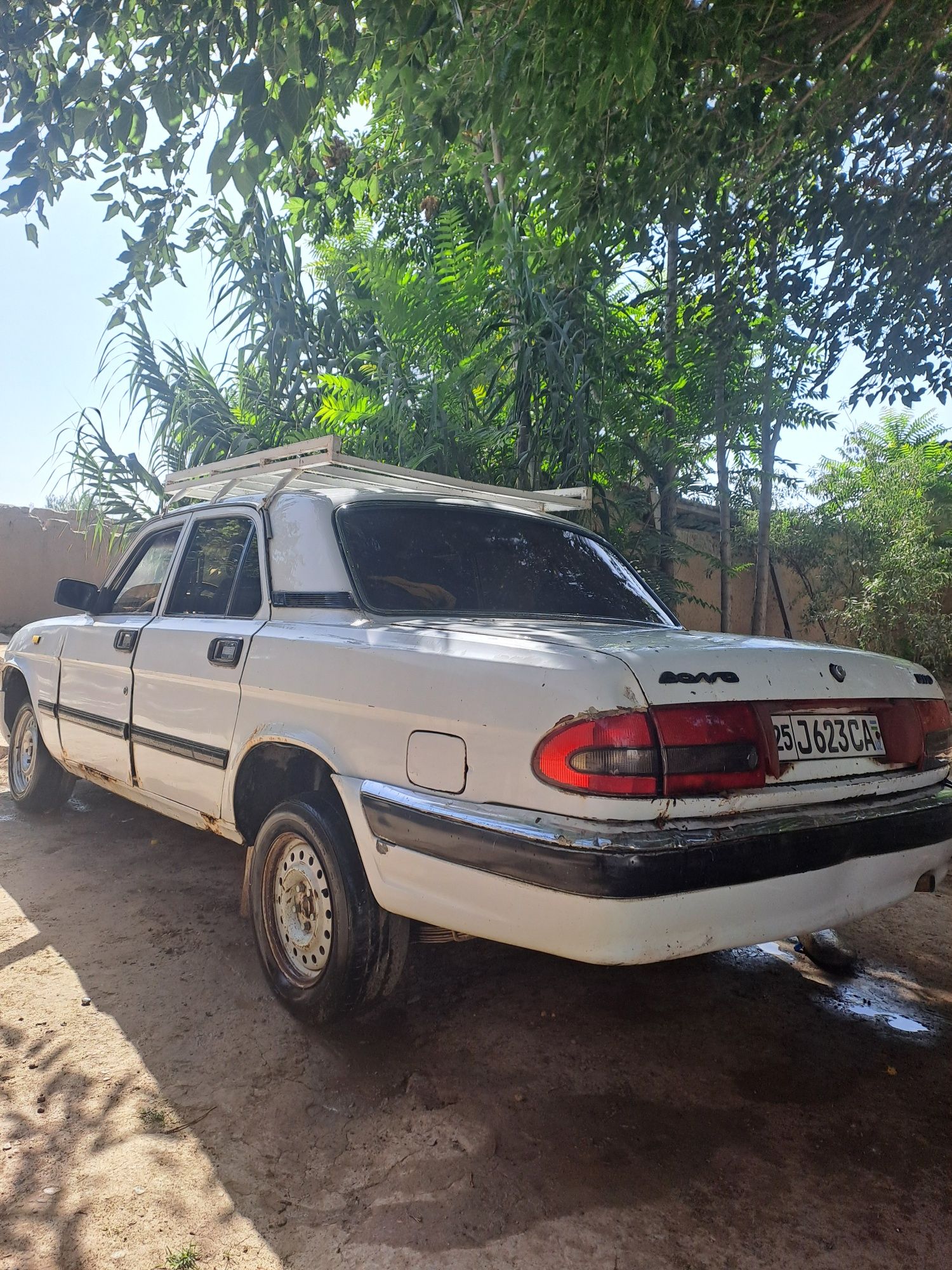 Volga gaz 31 10 gg