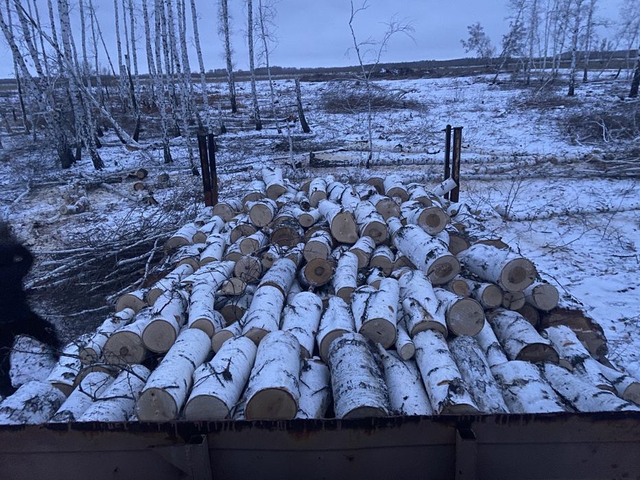 Продам дрова березы