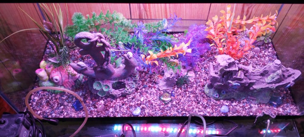akvarium hamma narsasi bilan 100l