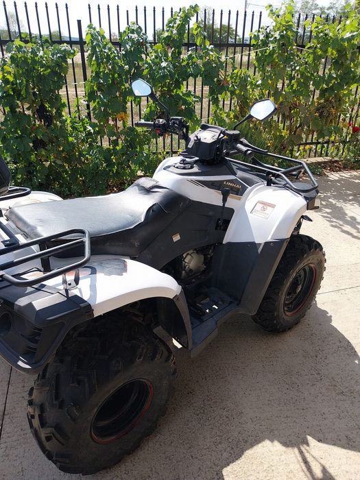 Linhai 300cc 4x4