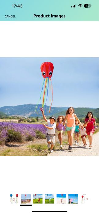Set de 2 dragoni cu fir de zmeu pentru activitati in aer liber