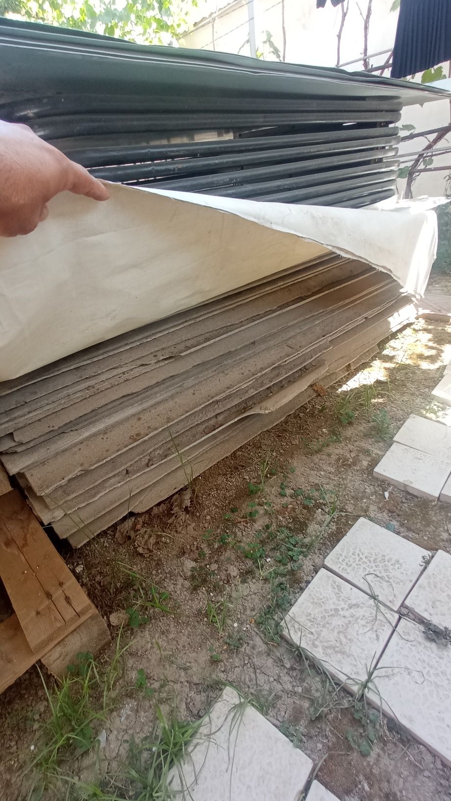 Shifir sotiladi kotta razmerligisi