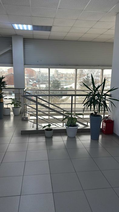офисы в торговом доме