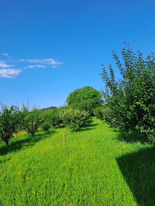 Casă în Băicoi Prahova