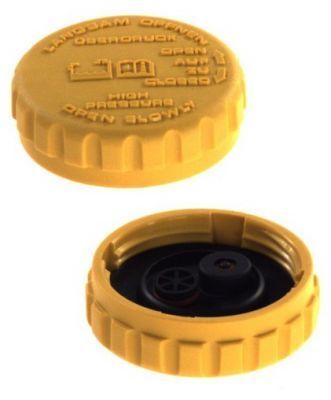 Buson vas expansiune Ford Fiesta, 1983-2008; Focus 1, 1998-2004; Fusion (JHS), 2002-2008; KA, 1996-2008; Mondeo, 1993-2000; Escort/ORioN, 1986-1990; diesel/benzina, presiune : 1, 4 bar