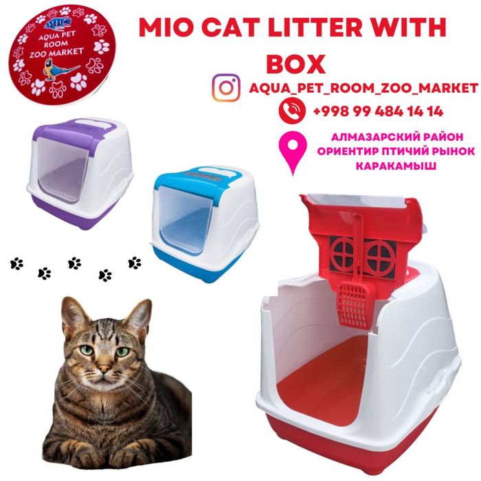 Latok Mushuklar uchun