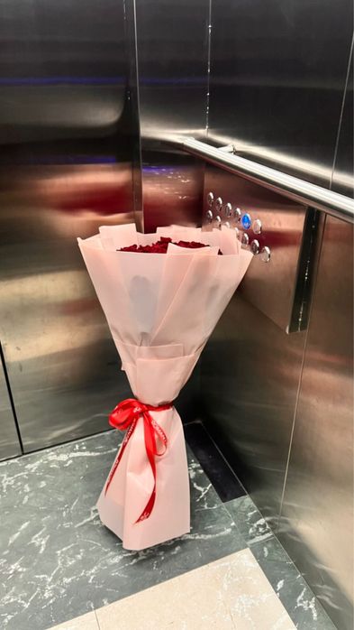 41 метровая роза голландский